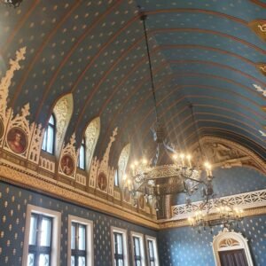 palatul culturii iasi (25)