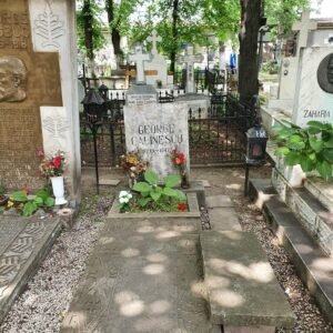 Cimitiri Bellu (2)