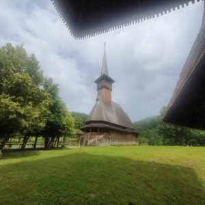 Mănăstirea Bârsana (6)