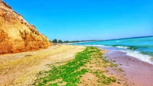 Krapets Beach! (3)