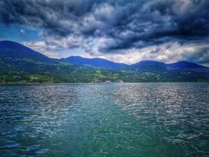 colibita (4)