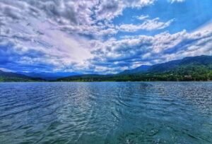 colibita (5)