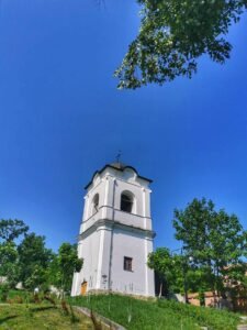 zosin, vorona, cosula (12)