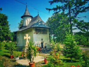 zosin, vorona, cosula (13)