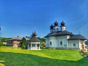 zosin, vorona, cosula (7)