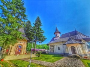 zosin, vorona, cosula (8)