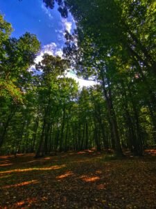 242198235_2007795619431694_1349251861984742418_n