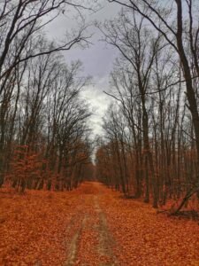 253620452_400361038466483_7764782103442125328_n