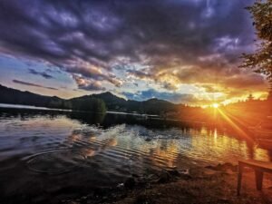 colibita (1)